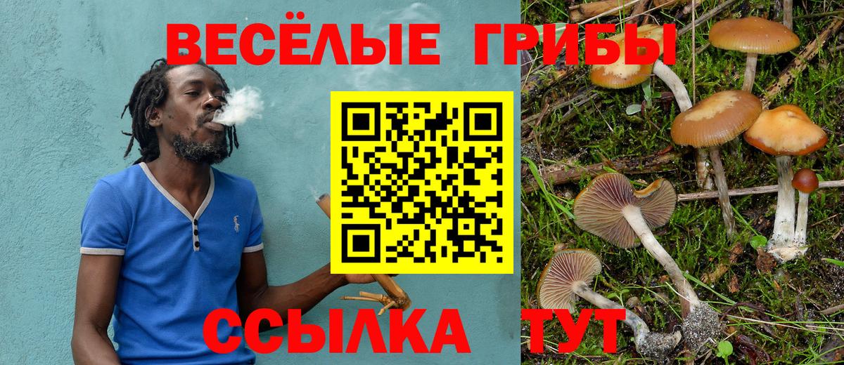 Зеленокумск  Марихуана  Вход с VPN  Гашиш  Меф МЯУ МЯУ   КОКАИН 