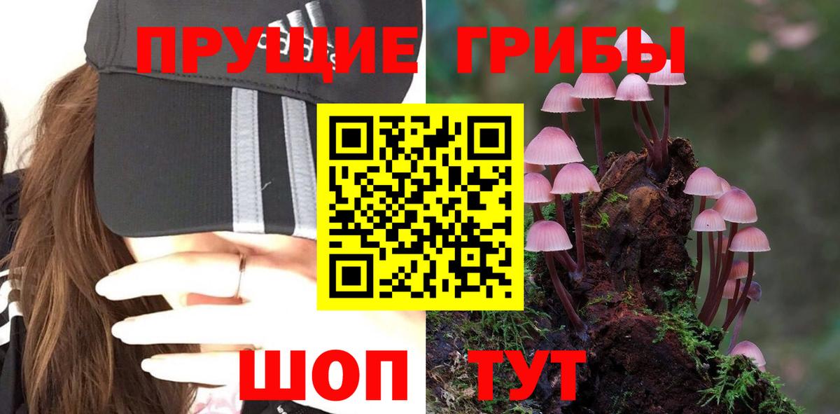 Зеленокумск  Псилоцибиновые грибы мицелий  Вход с VPN 