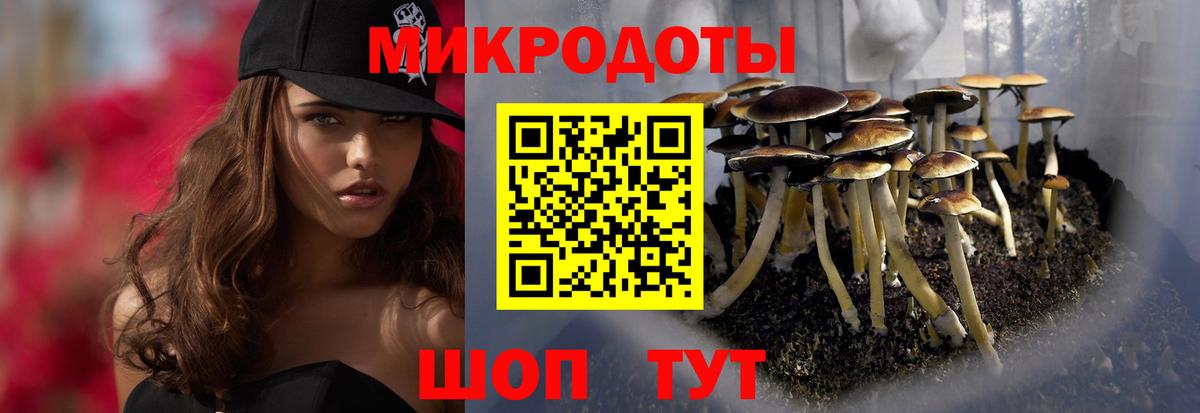 Галлюциногенные грибы Cubensis Зеленокумск