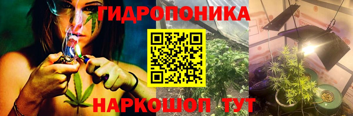 Бошки марихуана семена Зеленокумск